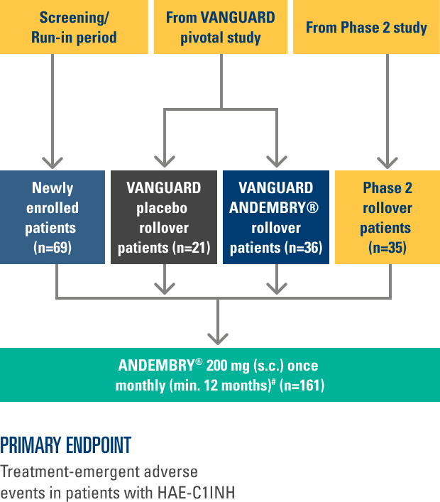 Image of VANGUARD OLE study design Image of VANGUARD OLE study design