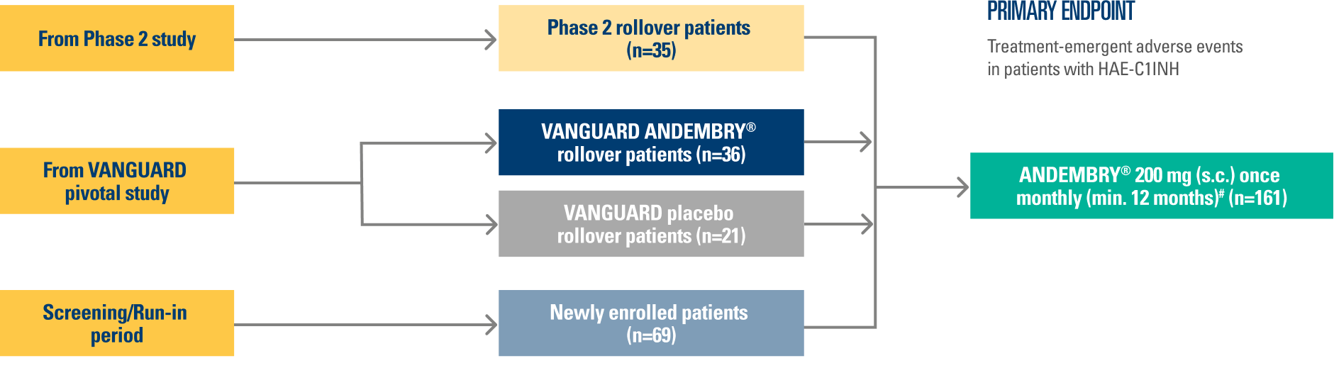 Image of VANGUARD OLE study design Image of VANGUARD OLE study design